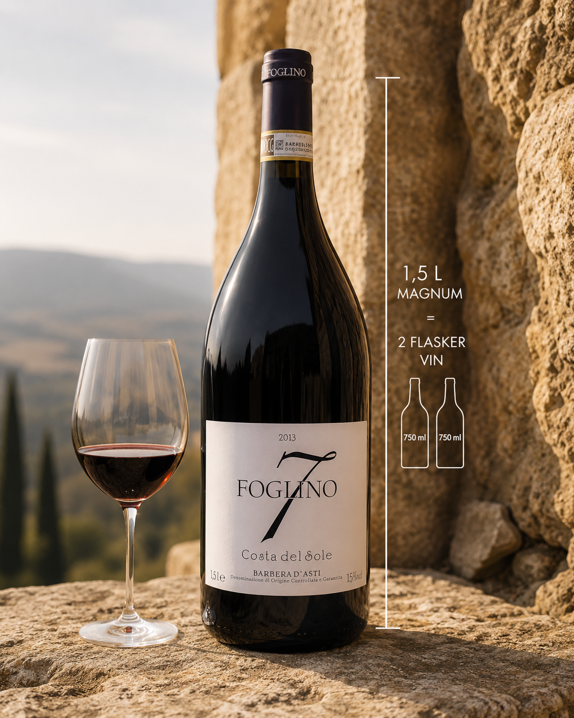 Costa del Sole Barbera d’Asti (1,5 L MAGNUM)